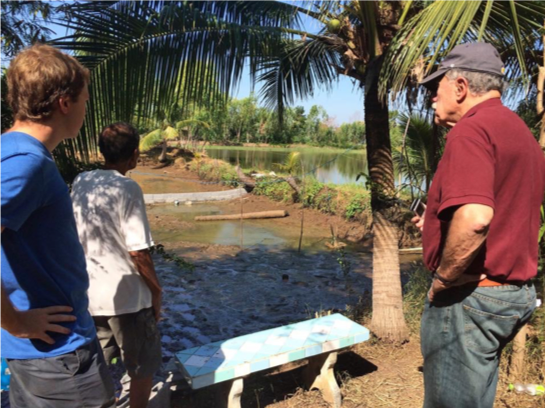 Pond Construction